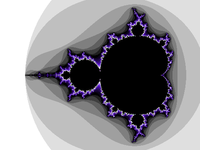 The Mandelbrot Set (xaos image)